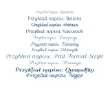 Przykłady napisów z polskimi znakami w różnych stylach, idealne do Word. Znajdź najładniejsze czcionki z polskimi znakami.